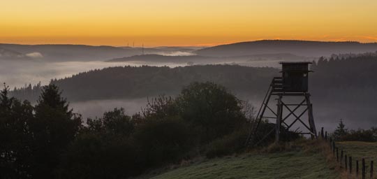 Eifelnebel